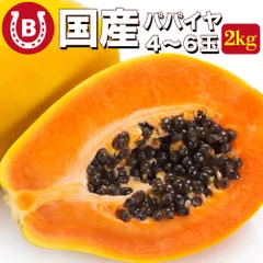 国産 パパイヤ 約2kg 4～6玉 サンライズソロ とろける甘さ 国産 パパイヤ 大玉 国産パパイヤ パパイア トロピカルフルーツ フルーツ パパイヤのサムネイル