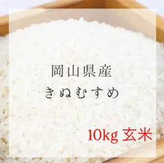 【最新入荷！！】きぬむすめ(玄米)　10キロ　農薬不使用のサムネイル