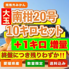 温州みかん11キロ　大玉