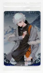 Amazon | Fate/Grand Order ウエハース13 (20個入) 食玩