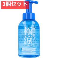 泡の極涼 アイスボディシャンプー 500mL 3個セット まとめ売り