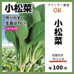【野菜の種】初心者向き☆プランター栽培OK！「小松菜」収穫約３０日～ 種１００粒