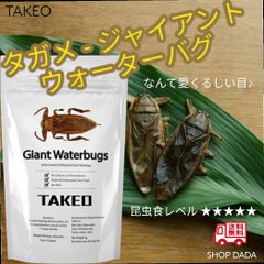 【昆虫スナック】タガメ - ジャイアントウォーターバグ ✕2匹