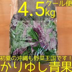 沖縄県産 ハンダマ（水前寺菜・金時草）　約4.5kg  【クール便】②