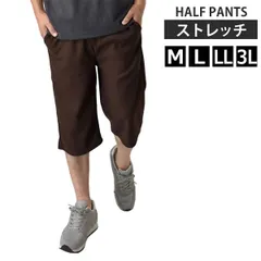 ハーフパンツ 《ブラウン》新品 未使用 メンズ ショートパンツ ストレッチ ウエストゴム 前閉じ リラックス ジョーゼット【D6Y】【ゆうパケット】ファッション メンズ M L LL 3L 夏