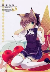【中古】男性向一般同人誌 ≪オリジナル≫ 制服少女 5.5 / REI / REI’s ROOM