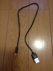 黒 USB TypeC 充電ケーブル 全長49cm