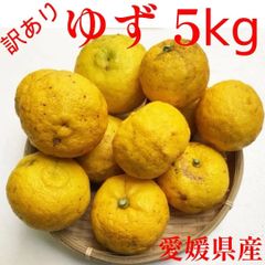 【愛媛県産】訳あり　ゆず（傷等あり）　５ｋｇ（送料無料）