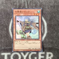 遊戯王　水霊使いエリア　イラスト違い決闘者の王国版スーパー1枚