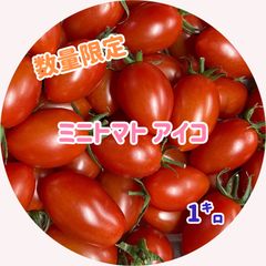 【数量限定】新鮮ミニトマト アイコ 1キロ