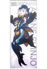 グリッドマン ドンキホーテコラボ クリアファイル2枚 宝田六花&新条アカネ 新品】【迅速丁寧】クリアファイル2枚組 宝田六花Ver． ドン