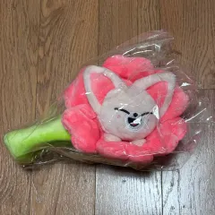 2025年最新】Straykids popup ペンケースの人気アイテム - メルカリ