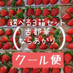 三箱セット　古都華　ならあかり　選べるセット　奈良県　農家直送　橋本農園　いちご　苺　イチゴ　ことか　コトカ