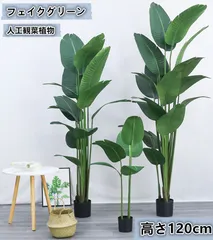 2025年最新】タビビトの木の人気アイテム - メルカリ