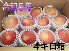 令和5年　山梨県産　桃(白鳳) B級品４キロ箱