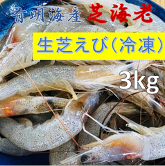 内野海産 有明海産 生芝海老（冷凍） 3kg スチロール箱入り　業務用　しばえび