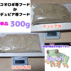 安い300 レッドローチの通販商品を比較 | ショッピング情報のオークファン