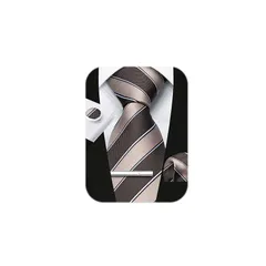 [HISDERN] ネクタイ メンズ セット ビジネス: ブラウン ネクタイ ブランド ストライプ チーフ シルク 通販 就活 成人式 卒業式 入学式 0