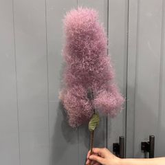 期間限定値下げ！スモークツリー ステム　ドライフラワー
