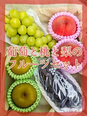 NICO@コスメ断捨離中様専用クール便