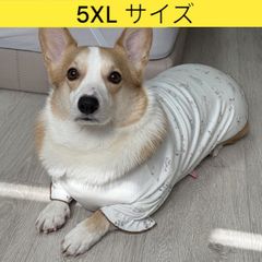 メルカリ ウェルシュ コーギー 服 パジャマ Tシャツ 5XL 中型犬 大型犬 春 夏 秋 冬 コーギー おしゃれ 犬服 doggystar ドッギースター
