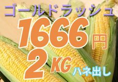 １６６６円・２kg朝採れ・とうもろこし・ゴールドラッシュ、ハネ出し