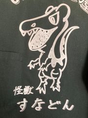 新品未使用 生茶パンダストラップ 47都道府県 48種類コンプリートセット 生茶パンダ ストラップ セット - メルカリ