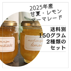 【手渡し専用】無添加・手作り 甘夏・レモンマーマレード（150g×各1本）