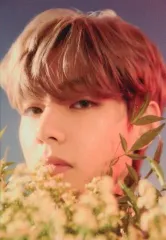 【中古】キャラカード [単品] ブイ(BTS/防弾少年団) フォトカードB 「HYBE INSIGHT」 フォトカードセット同梱品