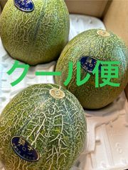 アムスメロン 4Lサイズ 箱込5キロ程度 千葉県産