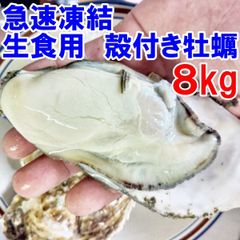 【連休中出荷可能】８kg 急速凍結 生食用冷凍牡蠣 殻付き 牡蠣 送料無料 冷凍便 牡蠣 殻宮城県産 殻付き牡蠣 殻付き 殻付 カキ 牡蛎 かき 松島牡蠣屋 kaki かき「生食用　冷凍牡蠣　８ｋｇ」