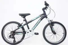 ふたりのりかえる様専用Bianchi Eagle 20インチ 子供用自転車