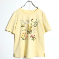 売れ筋商品|||ピンクハウス★長袖カットソー ブラウン系 ピコフリル＆サテンリボン♪ふんわりティアード z14322 PINK HOUSE - ピンクハウス☆長袖カットソー ブラウン系