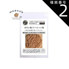 【1袋】中袋 70g グリーンフィールド 古代小麦 スペルト小麦 A451 有機種子 固定種 たね 【ポスト投函便】のサムネイル