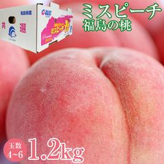 【8月中旬より順次ご発送】 桃 予約 送料無料 秀品 福島県産 福島 ミスピーチ 白桃 桃 1.2kg 4～6玉 ご家庭用 福島県 福島 透過式 光センサー まどか 川中島白桃 ゆうぞら 黄金桃 さくら白桃 もも モモ ギフト プレゼント ご自宅用 果物