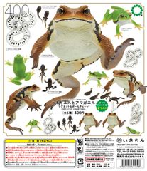 いきもんNATURE TECHNI COLOUR MONO PLUS｢ヒキガエルとアマガエル ボールチェーン＆マグネット｣アズマヒキガエル(卵塊) （ボールチェーン）