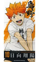 【中古】ポスター 日向翔陽 「ハイキュー!! 合同練習会2021 選手ポスター」