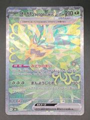 オーガポンみどりのめんex 125/101（津田沼店在庫)
