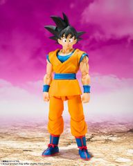 【新品未開封】ドラゴンボール S.H.Figuarts 孫悟空 DAIMA