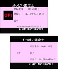 ジョークグッズ おっぱい鑑定士認定証 ２枚セット 資格証  パーティグッズ　クレカサイズpvcカード 悪用厳禁