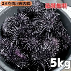 送料無料】冷凍カメノテ4000g 石鯛 イシガキダイ 黒鯛 コブダイ
