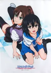 2025年最新】姫柊雪菜 タペストリーの人気アイテム - メルカリ