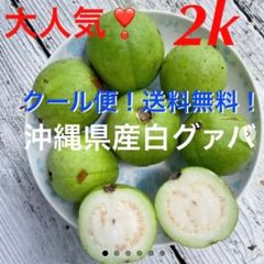 shop限定価格‼️大人気❣️沖縄県産白グァバ✨大〜中サイズ✨箱別1.1キロ分✓クール便送料込み - メルカリ