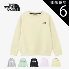 種類6：(IL)アイシーライラック/100 ザ・ノース・フェイス キッズ トレーナー THE NORTH FACE NTJ12471 カラライズスウェットクルー クルーネック ストレッチ  ノースフェイス (240125) 子供 