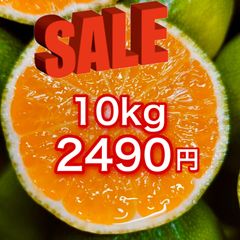 愛媛産　極早生みかん　家庭用10kg