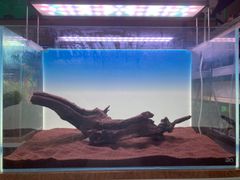 MDW-7426ブランチウッドレイアウトセット　90cm水槽用流木セット　枝流木 MDW-7426ブランチウッドレイアウトセット 90cm水槽用流木セット 枝流木