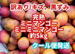 009】約2kg（約20g〜80g）完熟 ミニマンゴー、ミニミニマンゴー