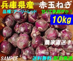 【兵庫県産】赤玉ねぎ　10kg　農家直送　新玉ねぎ　新鮮　朝採り　名産