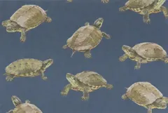 【ゆきちゃん限定】X2280 ニホンイシガメ柄 紺 コットン生地 1m