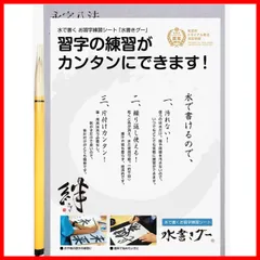 【トレンド商品】水書きグー 水書き書道セット 半紙サイズ 入門セット1 木と字の神林 MIZU-1